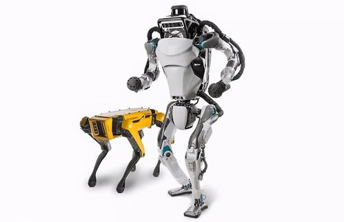 小米發布機器狗 鐵蛋 ,機器人概念又興起,意義幾何