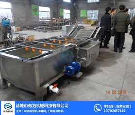 紅薯清洗機優(yōu)選公司 有為食品機械公司 天津紅薯清洗機