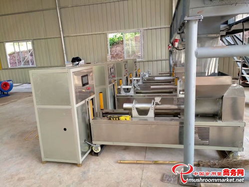 全自動香菇裝袋扎口一體機