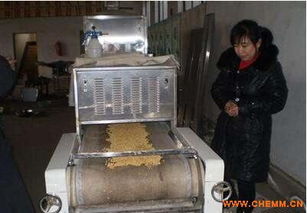 微波大豆脫腥機 專業廠家定做毛豆黃豆脫腥設備 價格 圖片