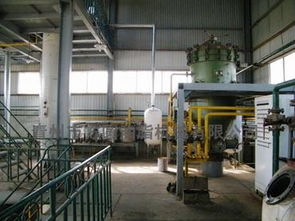 動植物油精煉設備的全面解析 從設備類型到價格因素